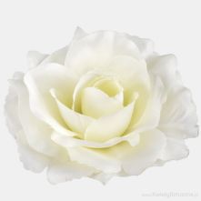 11cm Cream Yellow Open Rose